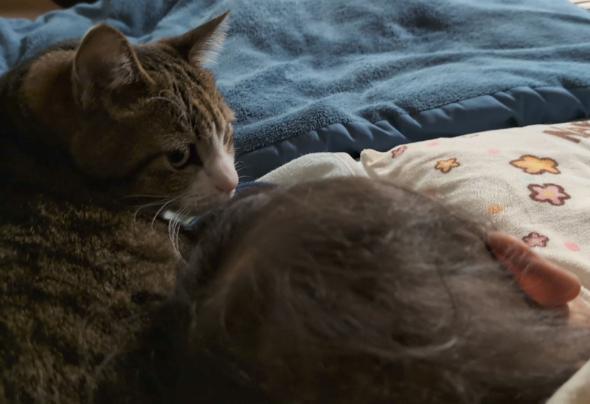 モーニングルーティン