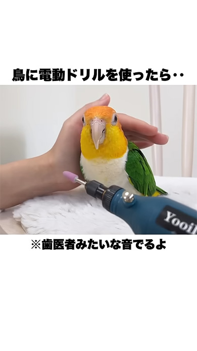 歯医者みたいな音