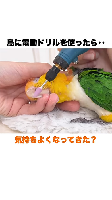 気持ちよくなってきた