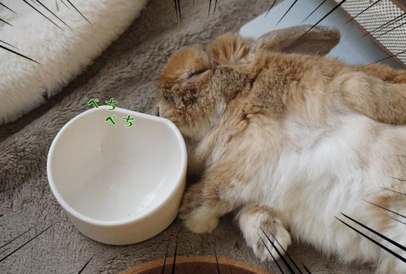 なでてほしいまめじ君