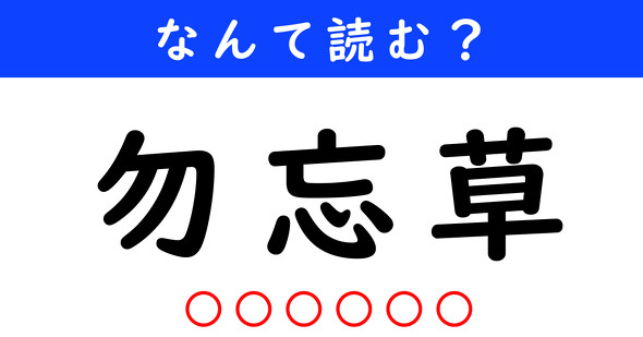 漢字クイズ　難読漢字　勿忘草