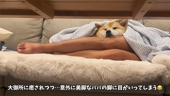 大御所に癒されつつ