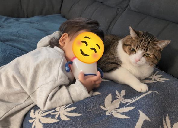 まるで兄妹な猫と子ども