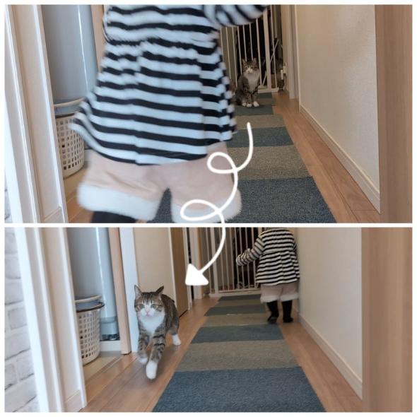 まるで兄妹な猫と子ども