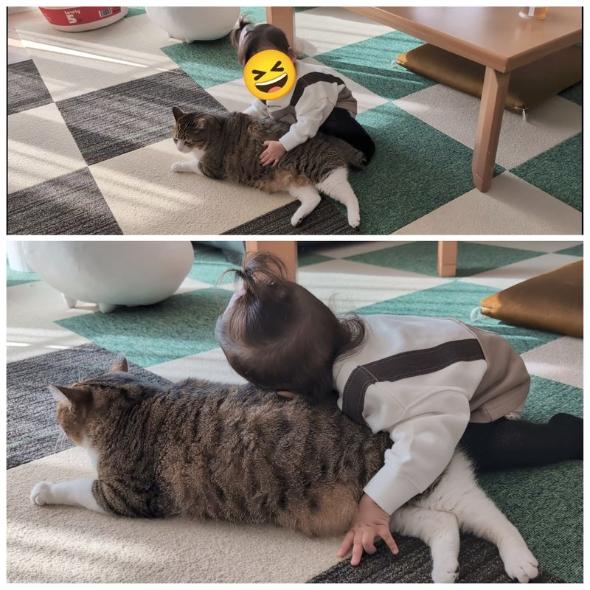 まるで兄妹な猫と子ども