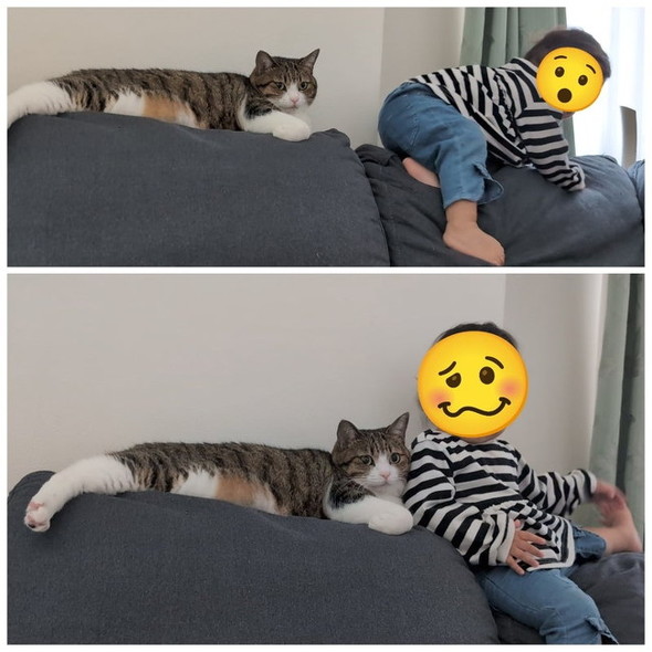 まるで兄妹な猫と子ども