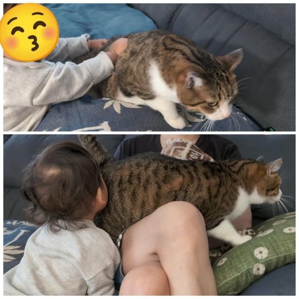 まるで兄妹な猫と子ども