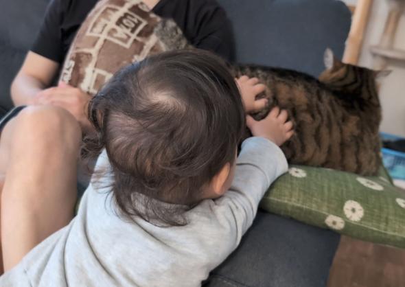 まるで兄妹な猫と子ども