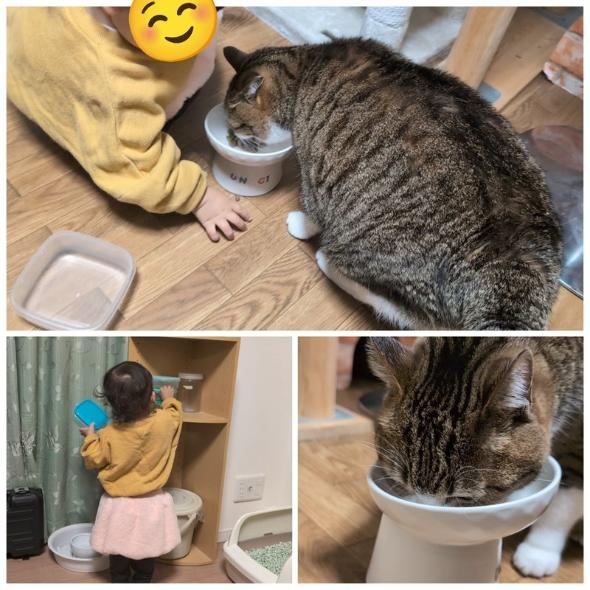 まるで兄妹な猫と子ども