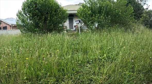 庭　清掃　ビフォーアフター