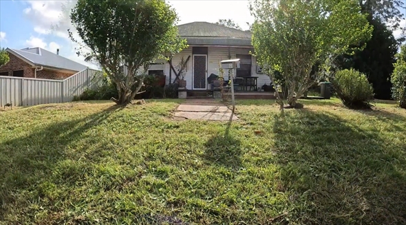 庭　清掃　ビフォーアフター