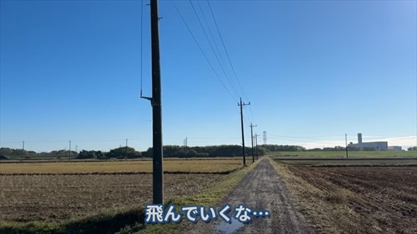 身近な害鳥ハシブトガラス狙撃して食べてみた
