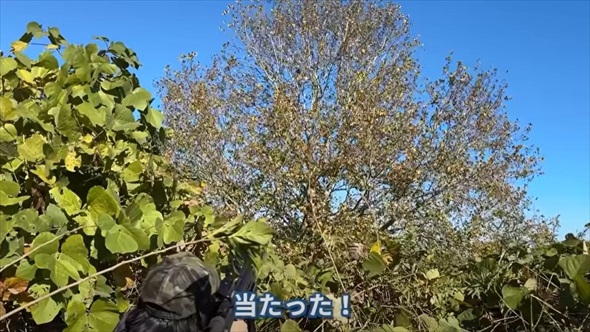 身近な害鳥ハシブトガラス狙撃して食べてみた