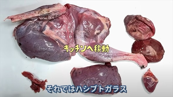 身近な害鳥ハシブトガラス狙撃して食べてみた