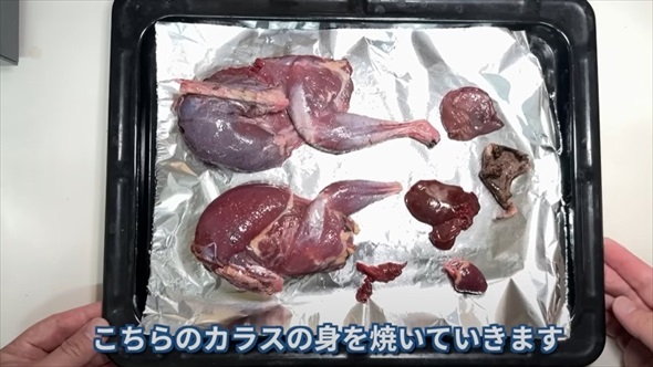 身近な害鳥ハシブトガラス狙撃して食べてみた