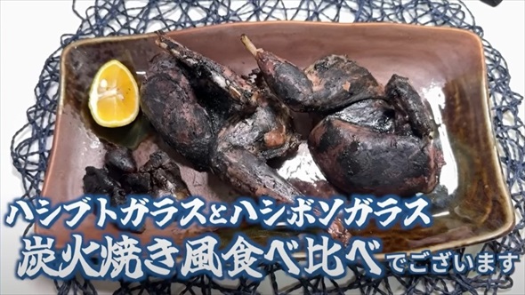 身近な害鳥ハシブトガラス狙撃して食べてみた