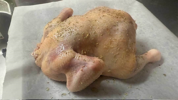 クリスマスチキンの骨格標本