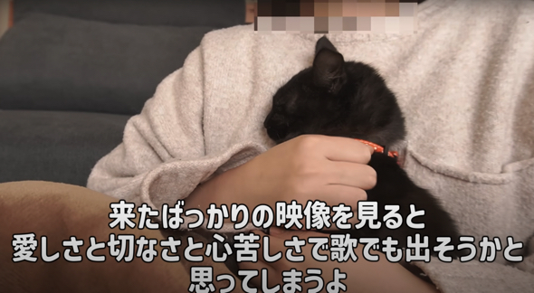 野良時代のことを考えると胸がギュッとなる飼い主さん