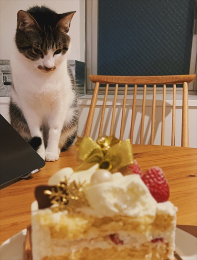 ホールケーキを丸ごと食べた大人の本音