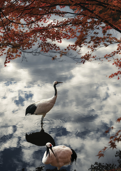 日本画のような構図