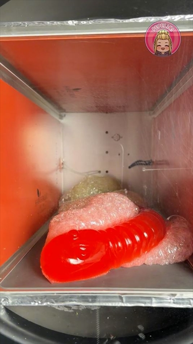 グミをフリーズドライしてみた