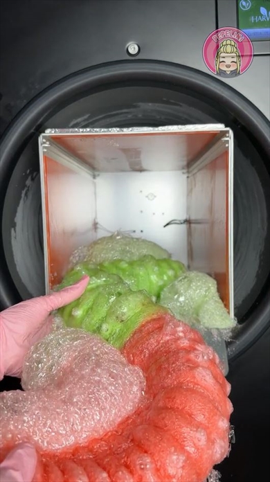 グミをフリーズドライしてみた