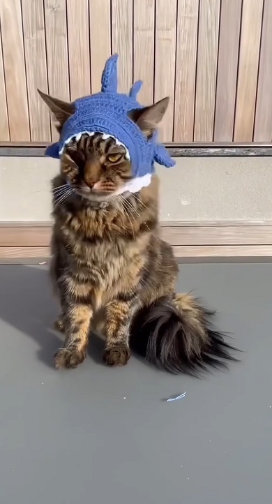 なにができるかな03