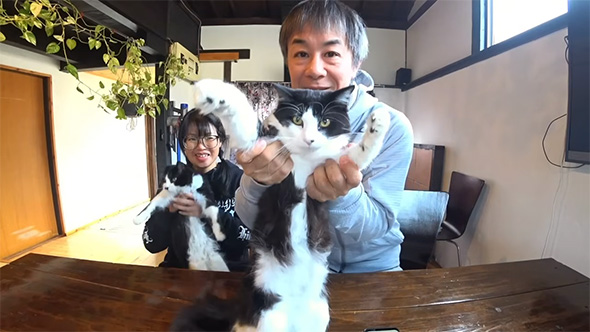 バンザイする猫と男性