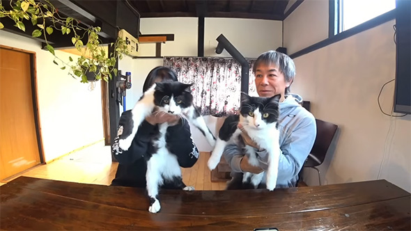 猫を見せる男性と女性