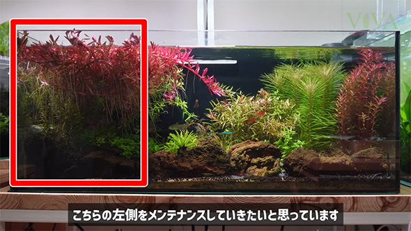 こちらの左側を