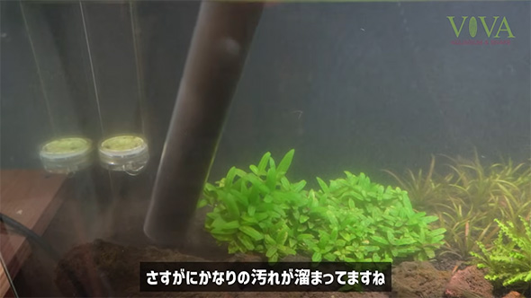 さすがにかなりの汚れが