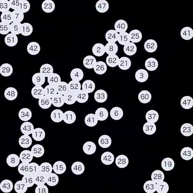 数字の間に引力と斥力が発生するプログラムを実行した結果他の数字グループにはじかれる19