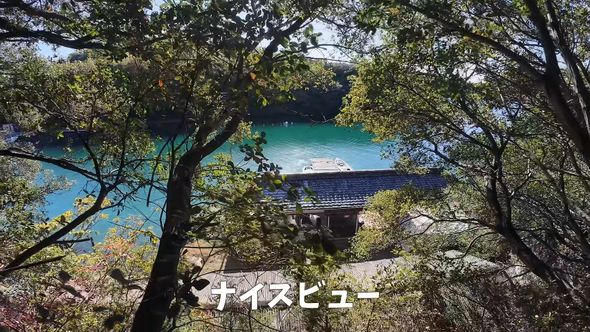 裏山から見える自宅