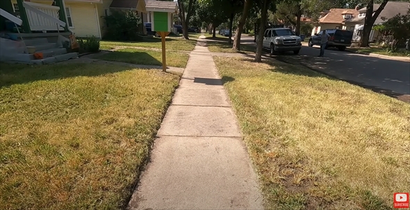 荒れ果てた里親の庭