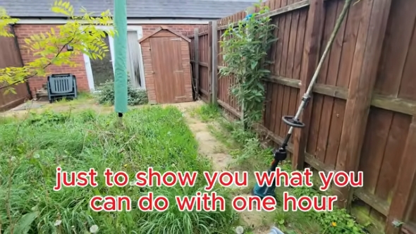 草刈り前の庭の様子