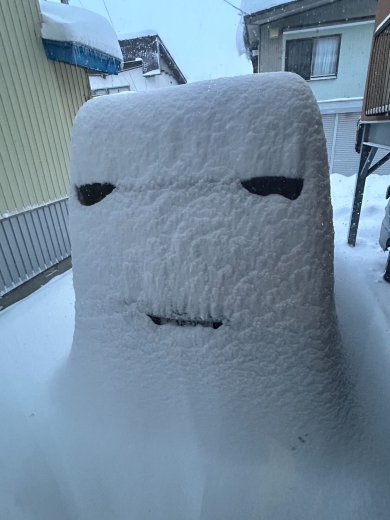 雪に埋まった車