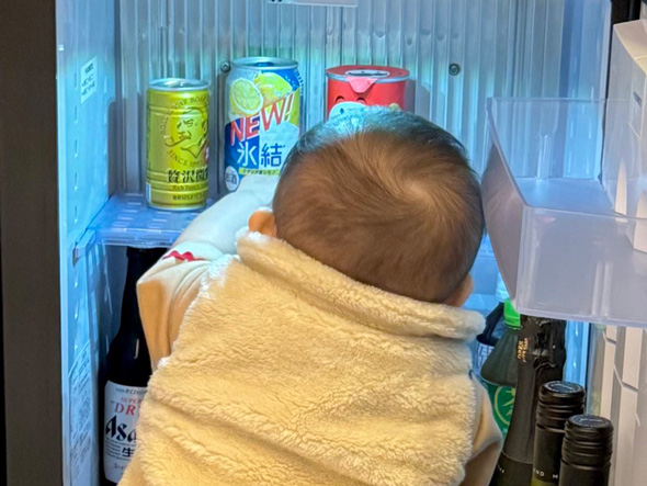 冷蔵庫をあさる0歳児の後頭部