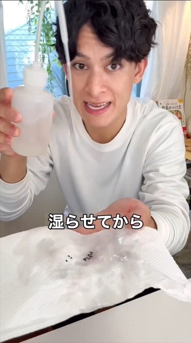 種からキウイの増やし方