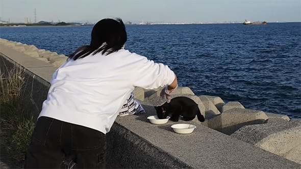 子猫の首元を持つ女性