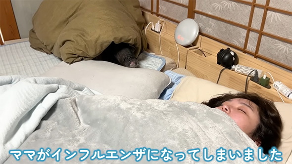 ママがインフルエンザに