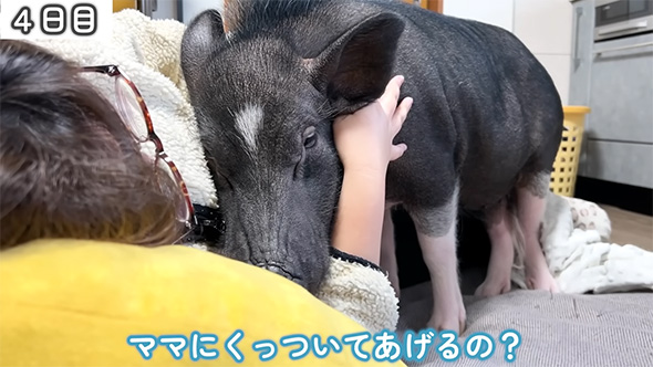 ママにくっついて