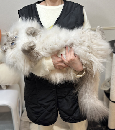 抱っこされるいれぶんくん