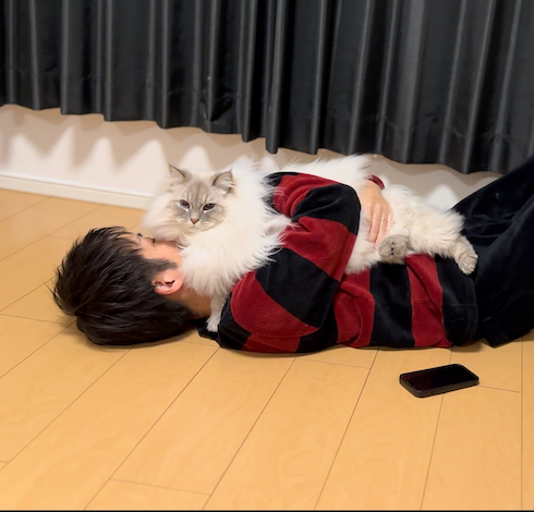 温度差のある夫と愛猫