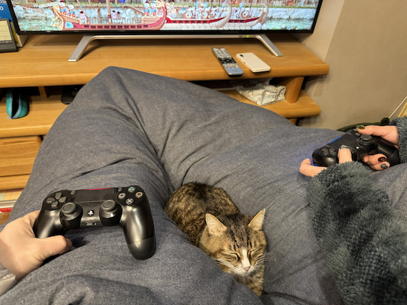 夫婦の間で寝る猫