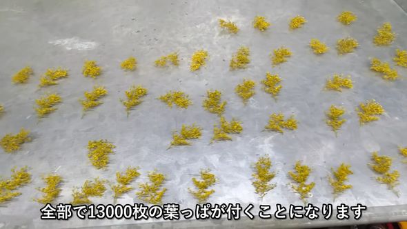 3Dプリンターで印刷した1万3000枚のイチョウの葉