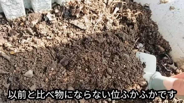 腐葉土を混ぜ込む対策を実施した結果生えなくなった