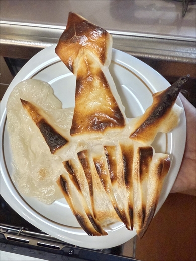 イカ　餅　グルメ