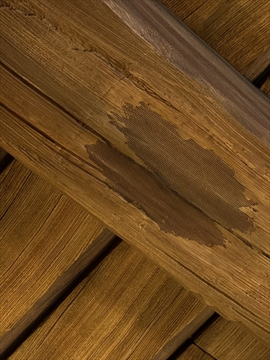 ディズニーシーの隠れスピーカーがすごい