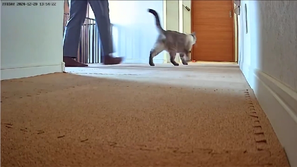 はなちゃんとぽんすけ