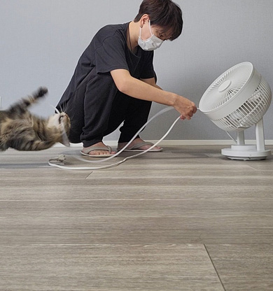 回転するニャンコ